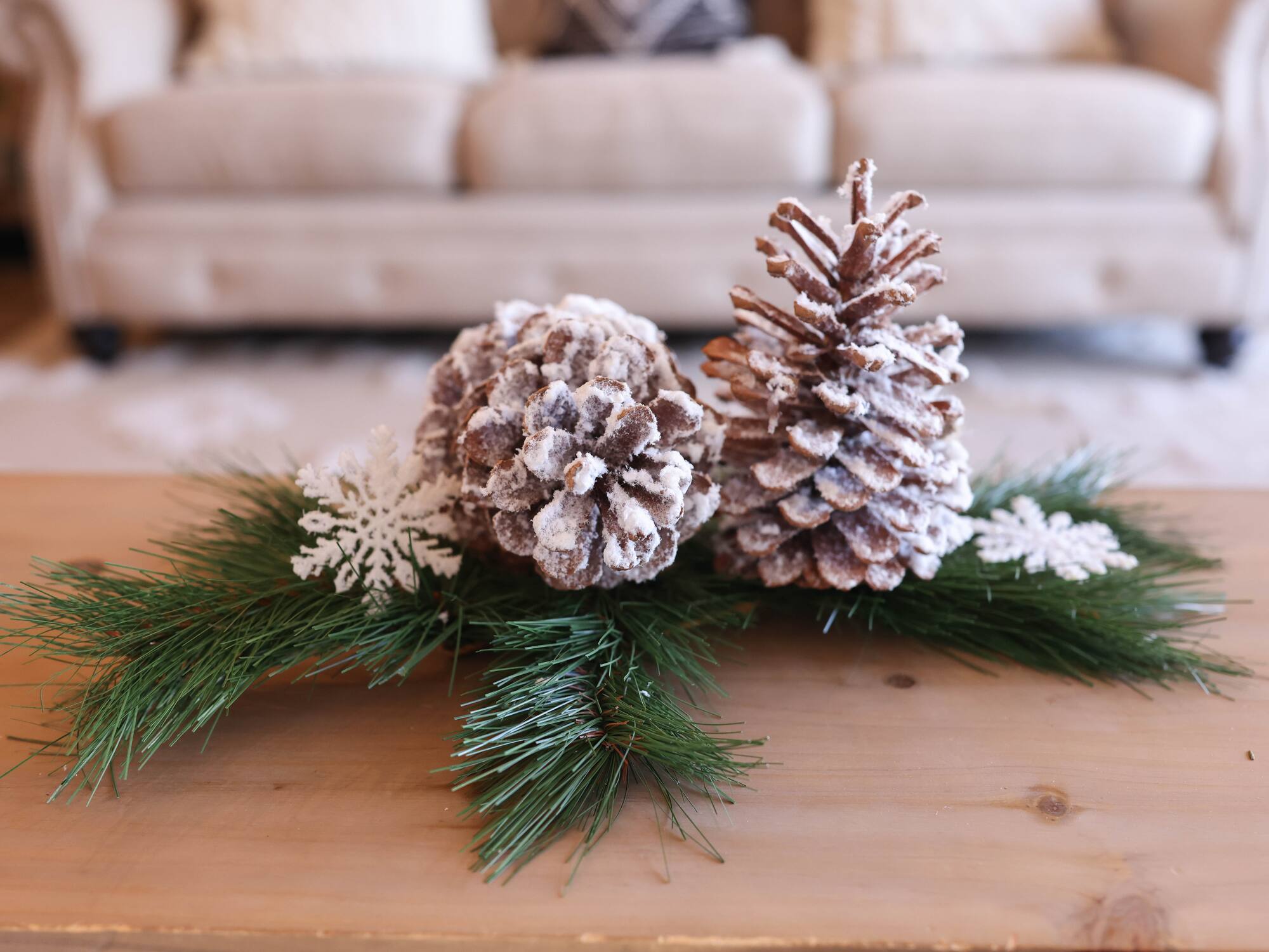 Snowy White Long Leaf Pinecones, 2ct. by Ashland®